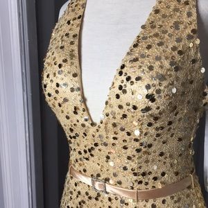 Prom Gown / New Year’s Gown